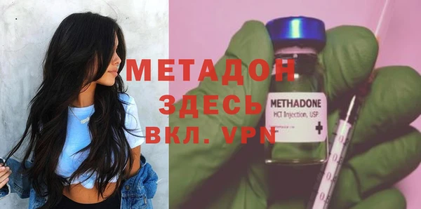 прущие грибы Аркадак