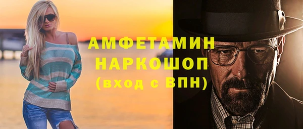 прущие грибы Аркадак