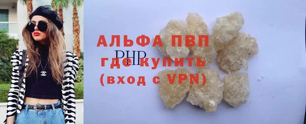 прущие грибы Аркадак