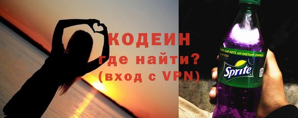 шишки Арсеньев