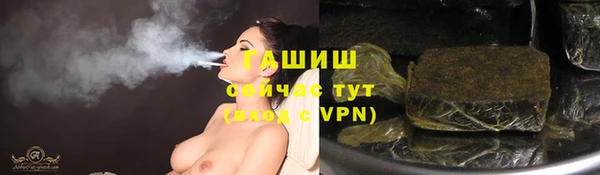 шишки Арсеньев