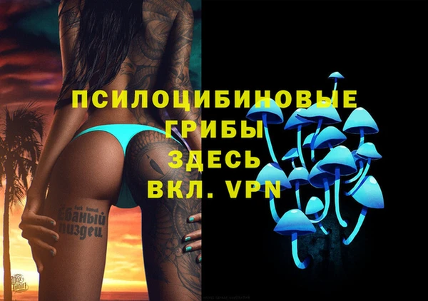 шишки Инта