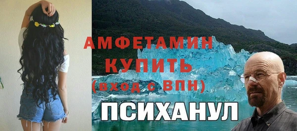 прущие грибы Аркадак