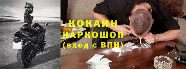 шишки Арсеньев